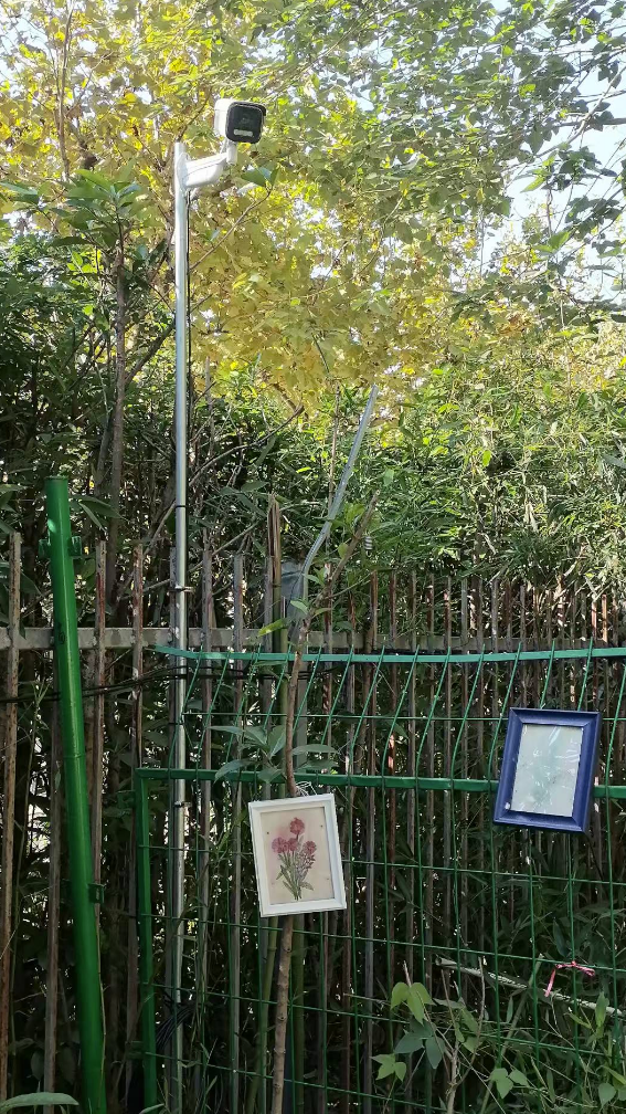 圖片.png