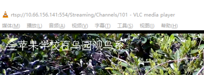 圖片.png
